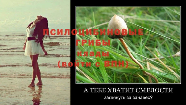 прущая мука Костерёво