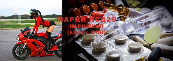 apvp Корсаков